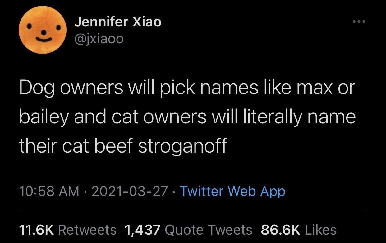 get+over+here%2C+beef+stroganoff%21