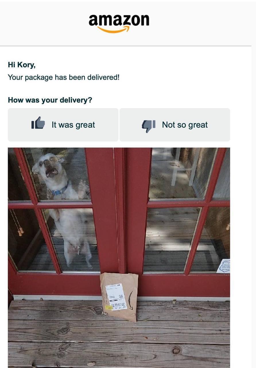 package+delivered