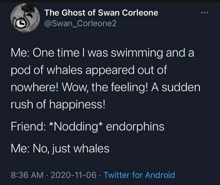 just+whales