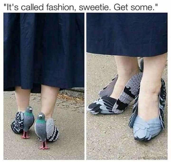 bird+fashion