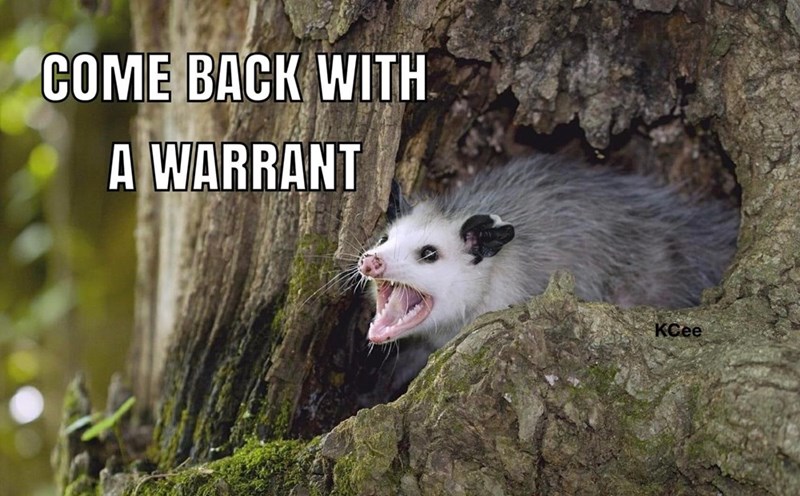 no+warrant%2C+no+access