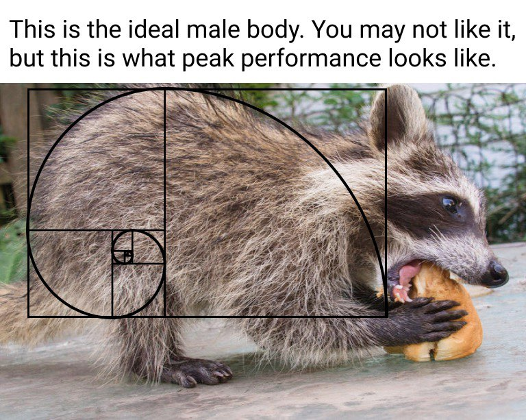 the+ideal+male+body