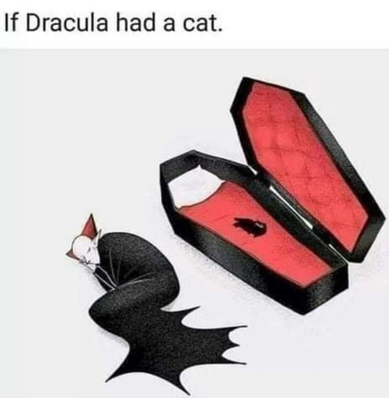 cat+dracula