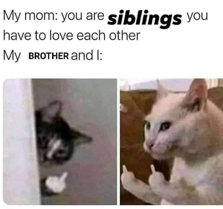 this+is+how+we+show+our+love