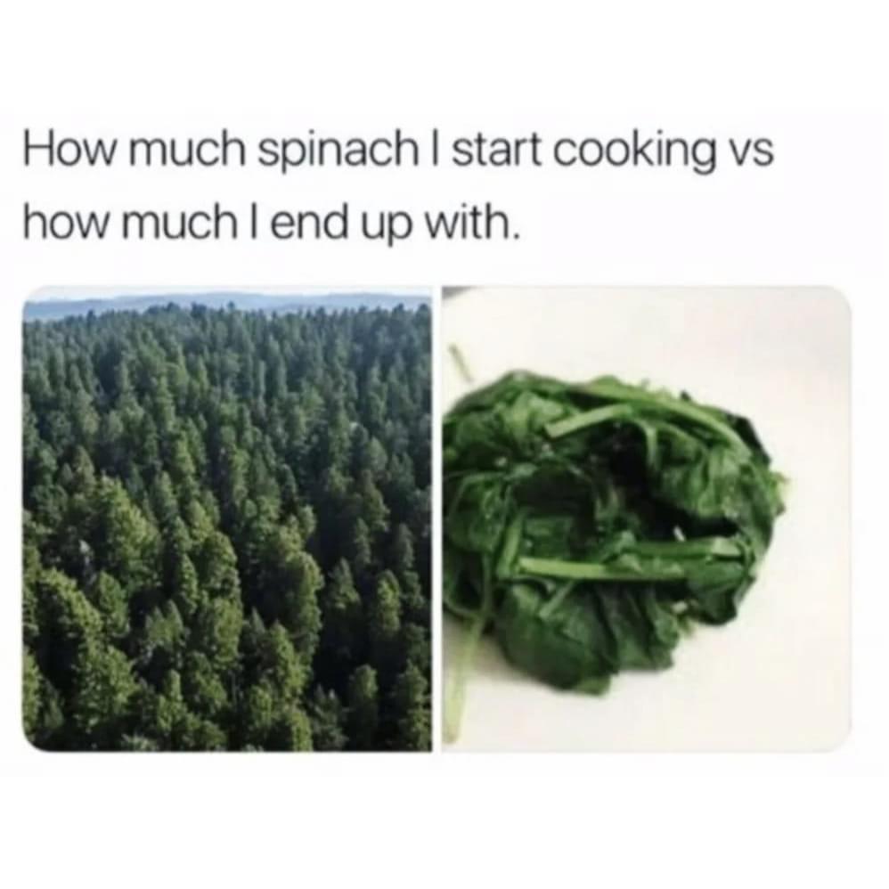 cooking+spinach