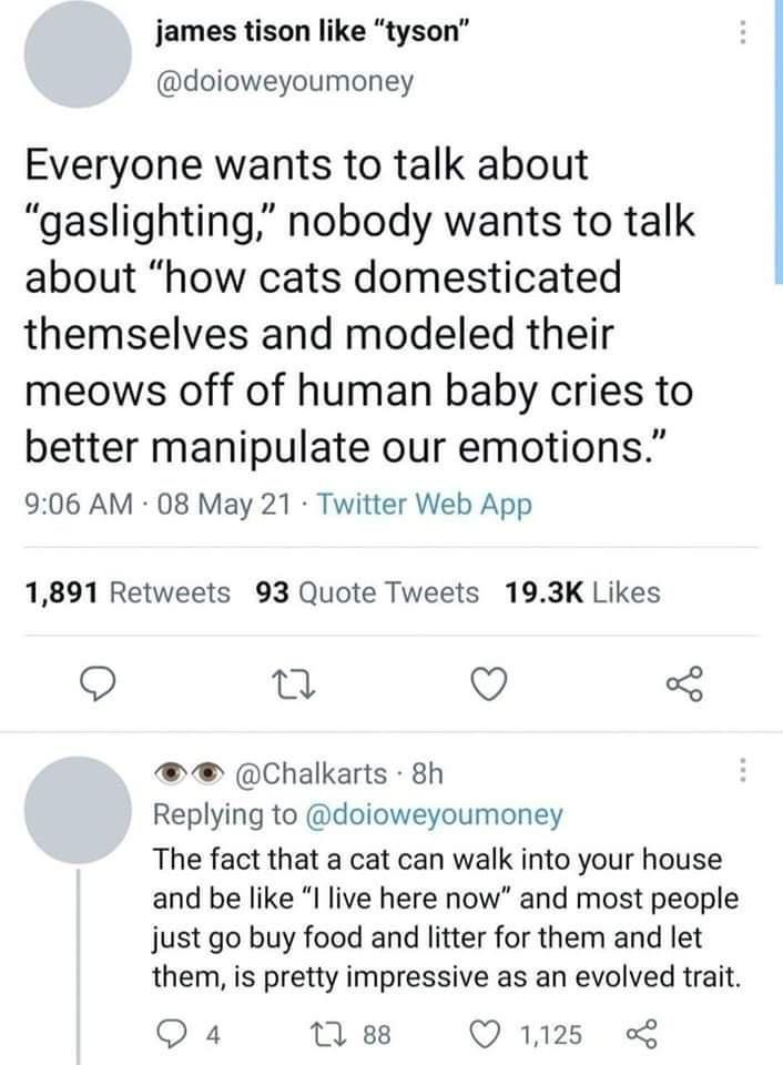 gaslighting+cats
