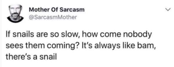 then+suddenly%2C+a+snail