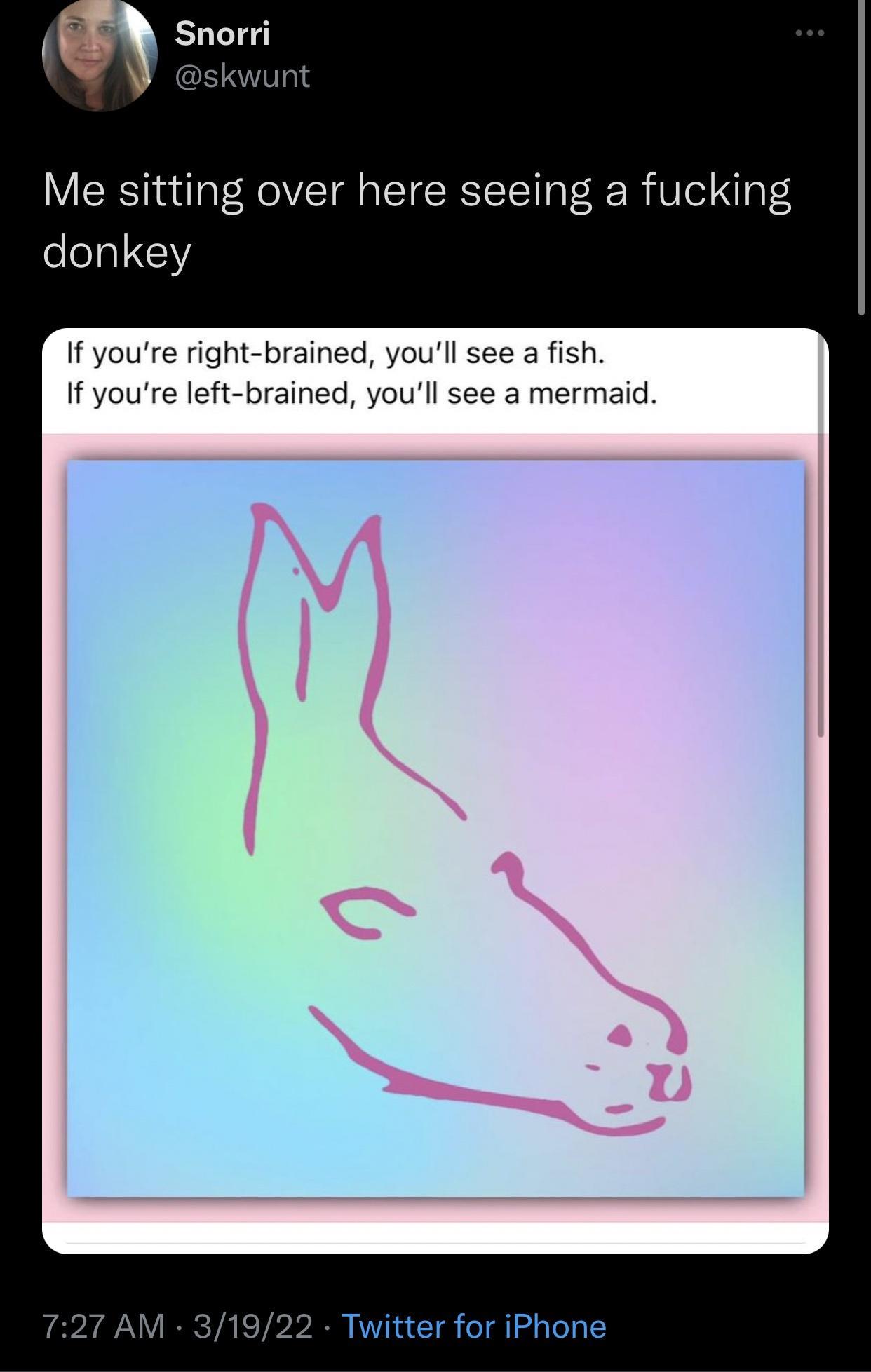 fish+or+mermaid%3F