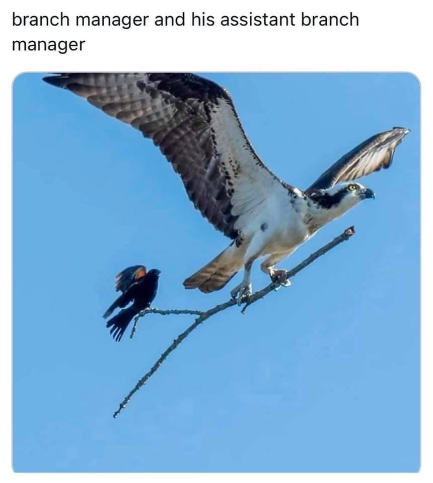 employees+work+best+together