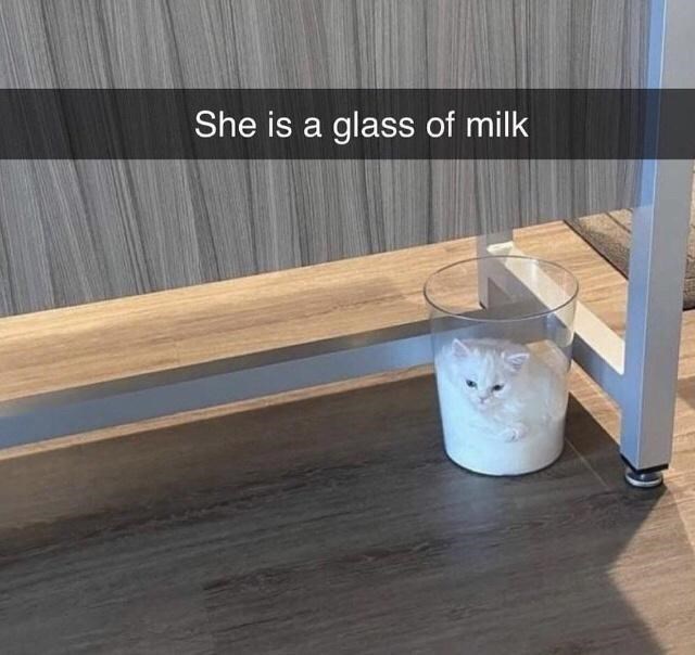 a+glass+of+milk