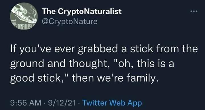 this+is+a+good+stick