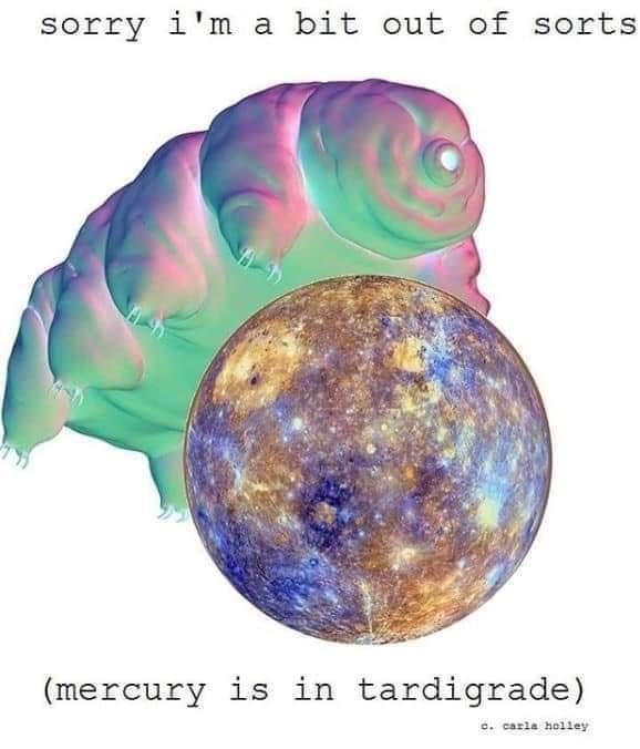 mercury+in+tardigrade