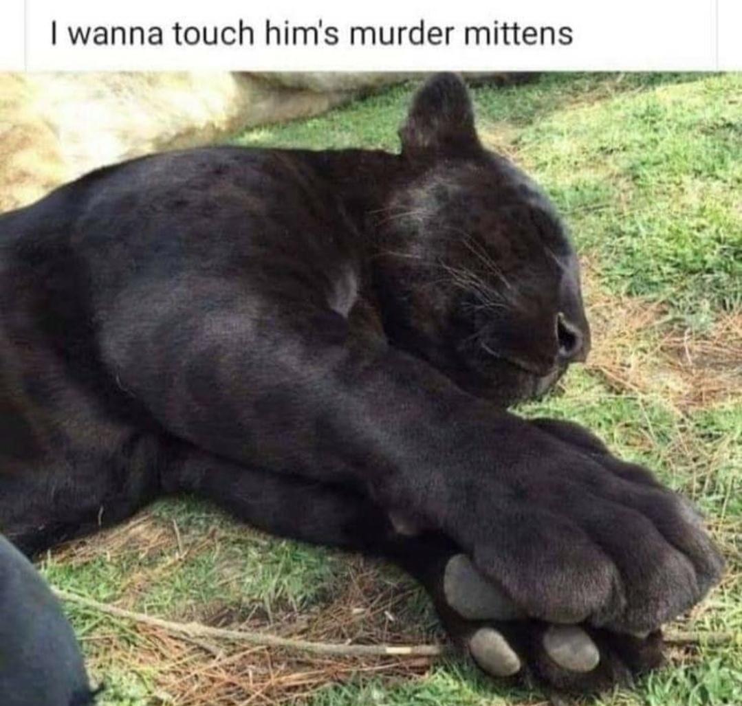 murder+mittens