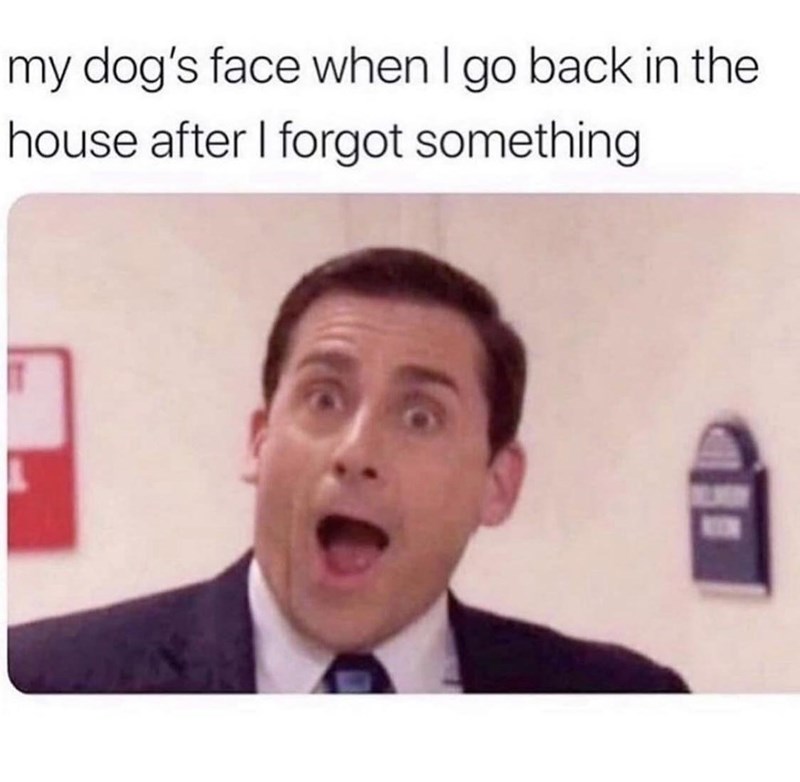 you+were+gone+so+long%21