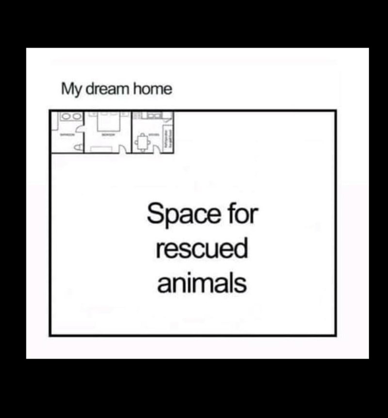 space+for+rescued+animals