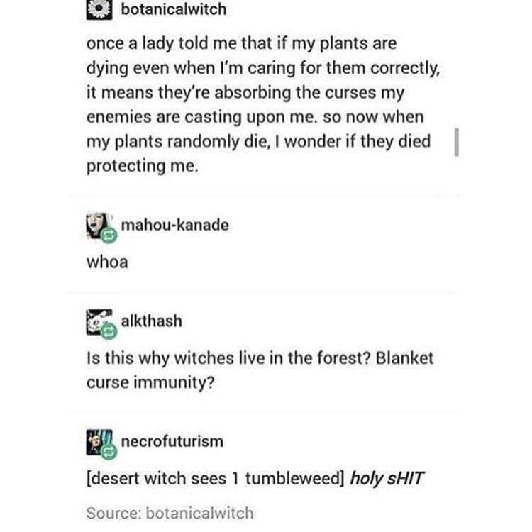 plant+curse+protection
