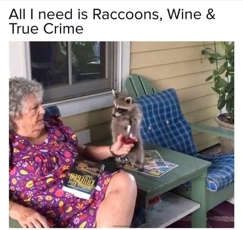 raccons+wine+and+crime
