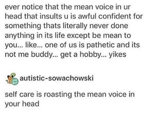 self+care+is+roasting+the+mean+voice+in+your+head