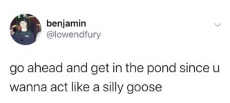 silly+goose