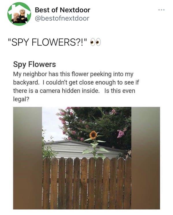 spy+flower