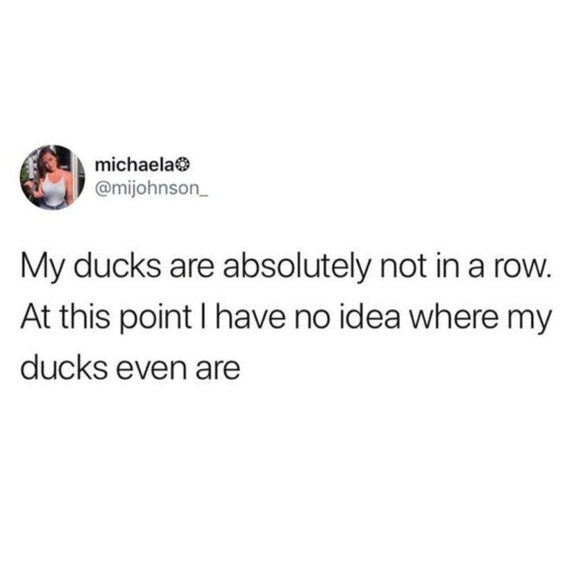 where+are+my+ducks%3F