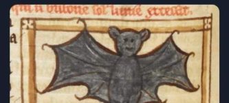 13th+century+bat