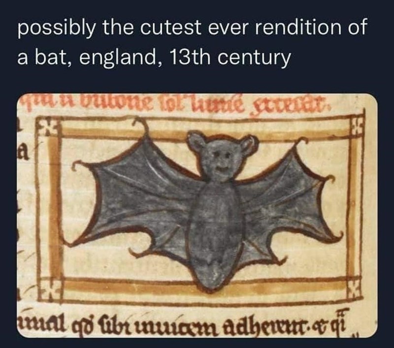 13th+century+bat