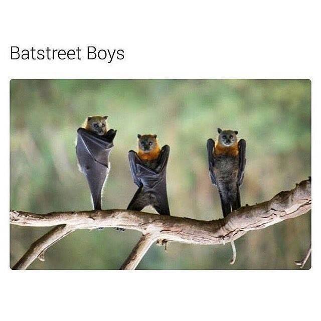 batstreet+boys