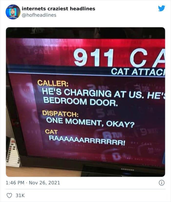 911+cat+call