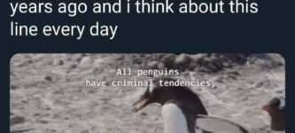 all+penguins+are+criminals