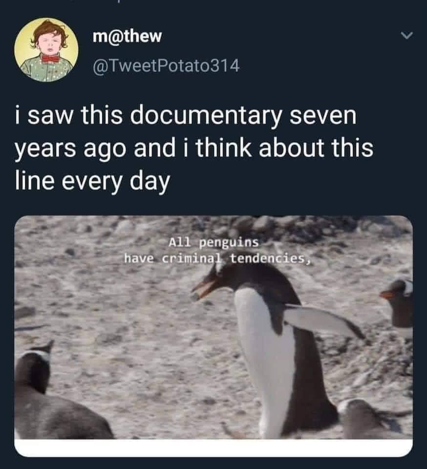 all+penguins+are+criminals