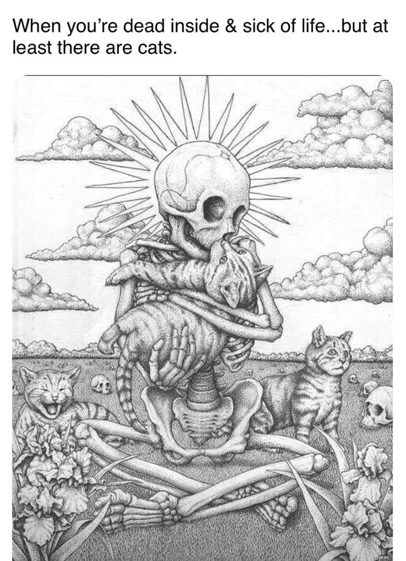 at+least+there+are+cats