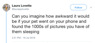 awkward+pet+photos