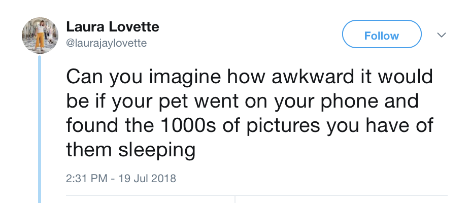 awkward+pet+photos