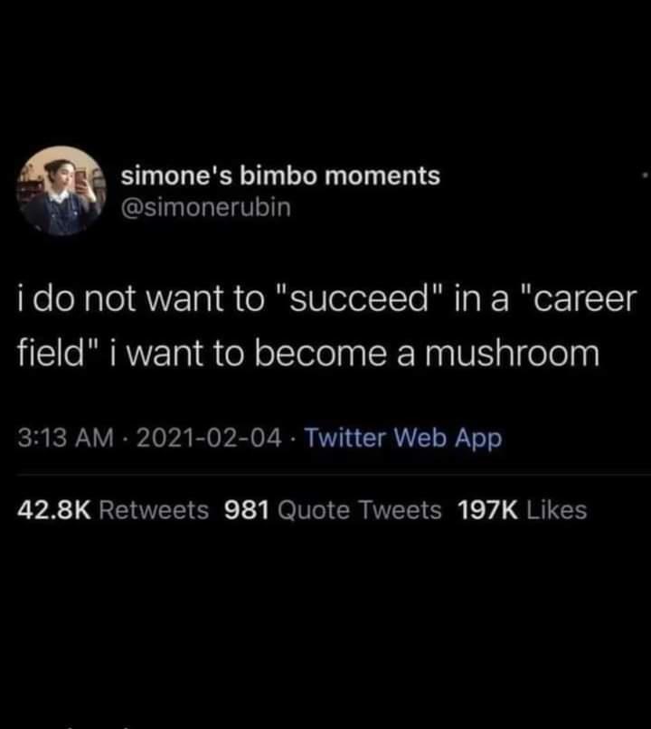 life+as+a+mushroom