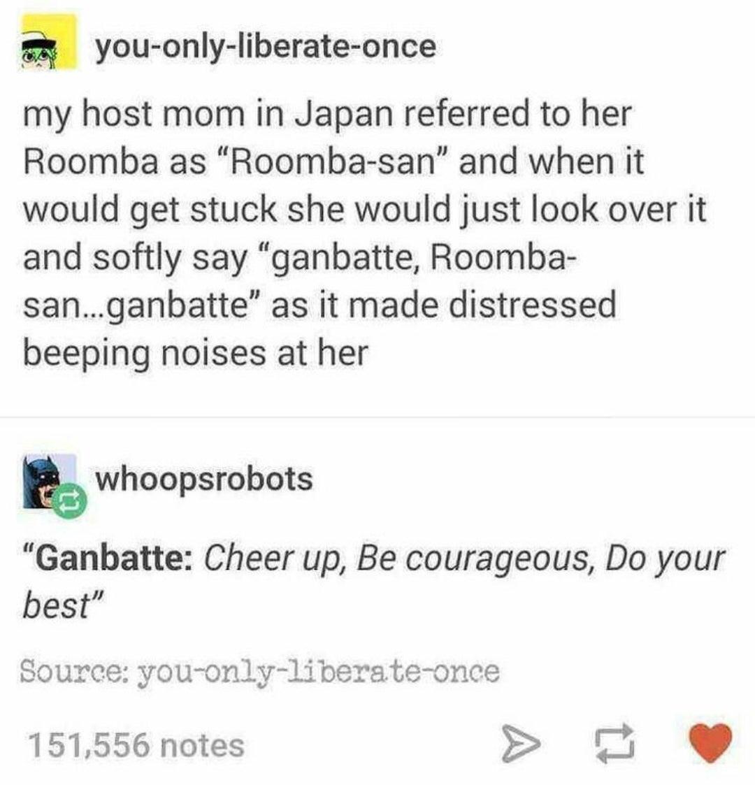 be+courageous+roomba
