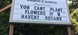 botany+pun