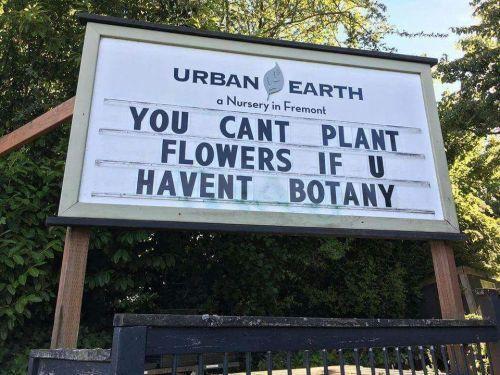 botany+pun