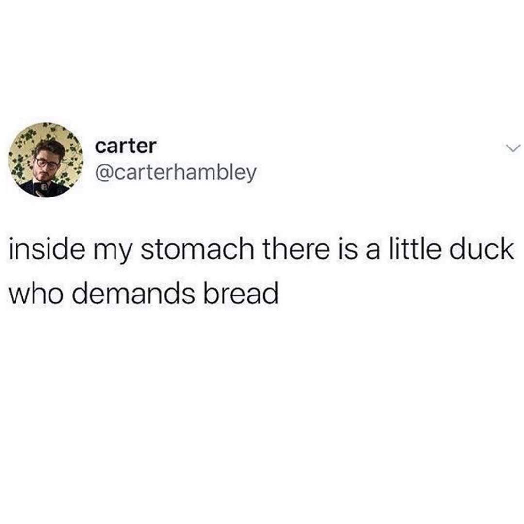 bread+duck