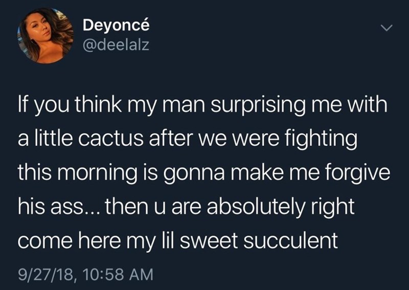 cactus+of+forgiveness
