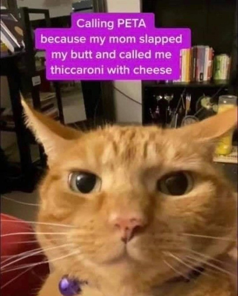 thiccaroni+with+cheese