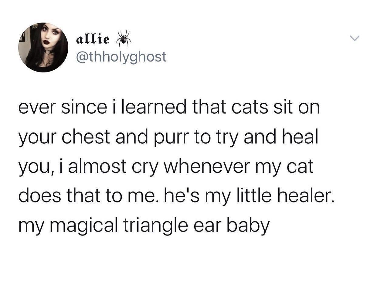cats+sit+on+your+chest+to+heal+you