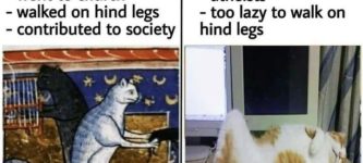 cats+then+vs+now