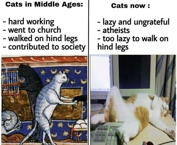 cats+then+vs+now