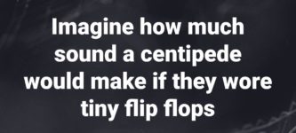 centipede+in+flip+flops