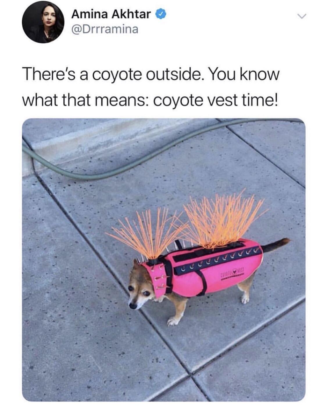 coyote+vest