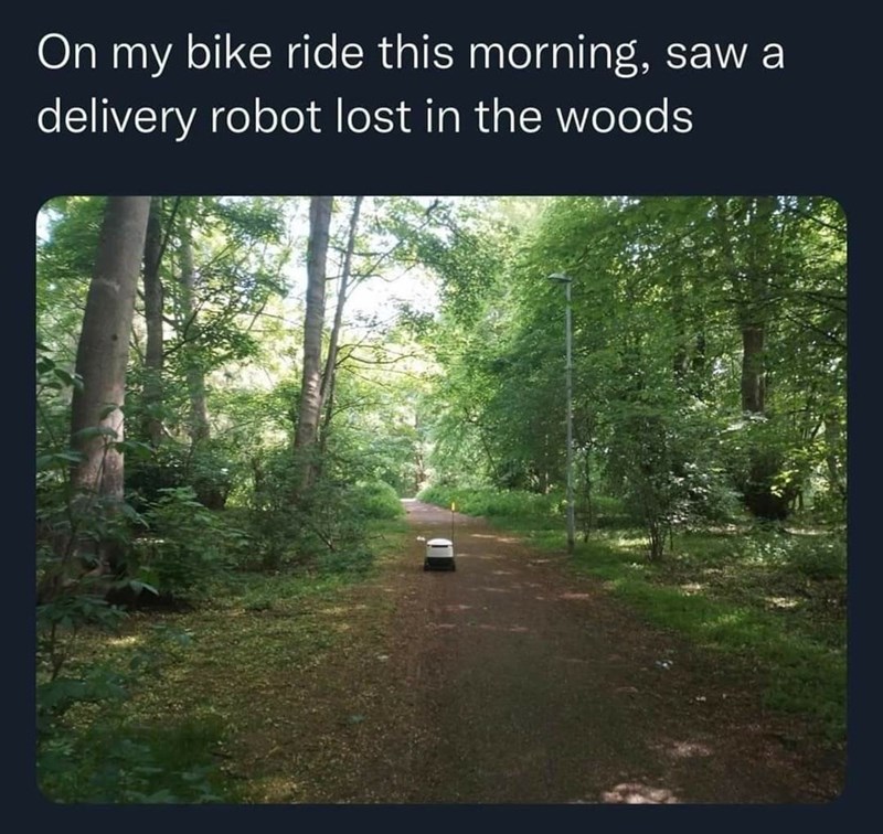delivery+robot+lost+in+the+woods