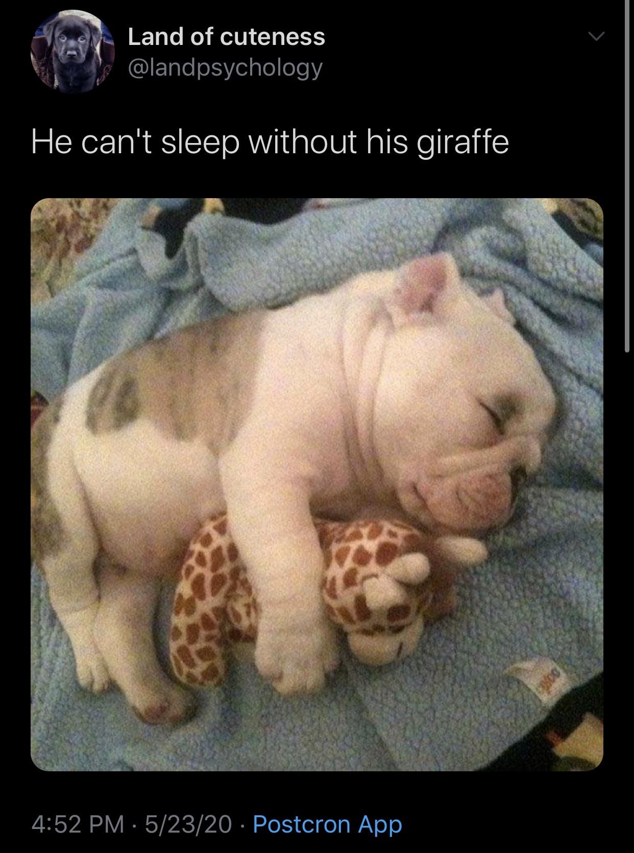 he+needs+his+giraffe+toy