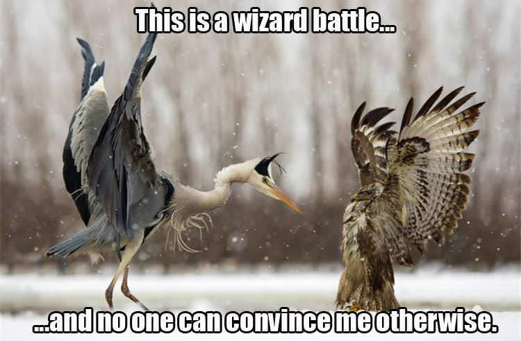 epic+wizard+battle