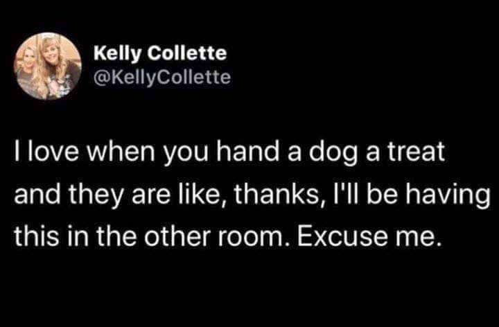 handing+a+dog+a+treat